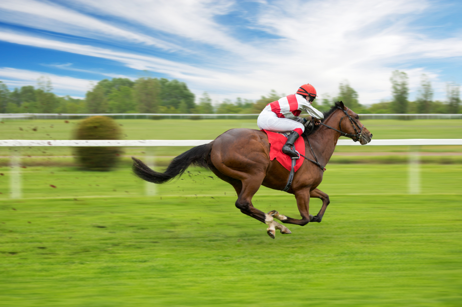 Pferd und Reiter*in auf grünem Rasen im Galopp