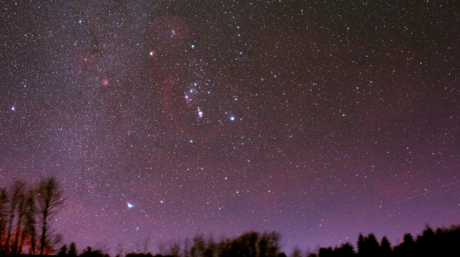 Ein klarer Sternenhimmel mit leuchtenden Sternen und Umrissen von Bäumen am unteren Bildrand.