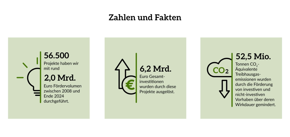 Infografik zu den Zahlen und Fakten