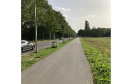 Rad- und Fußweg neben einer Straße, getrennt durch einen schmalen Grünstreifen mit Bäumen