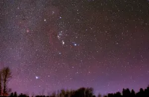 Ein klarer Sternenhimmel mit leuchtenden Sternen und Umrissen von Bäumen am unteren Bildrand.